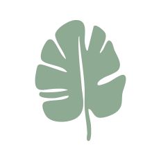 Monstera Leaf