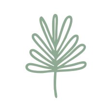 Palm Leaf Outline