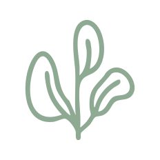 Leaf Trio Outline
