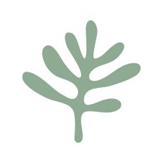 PalmLeaf Silhouette