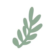 Leaf Stem Silhouette