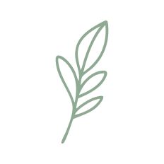 Leaf Stem Outline