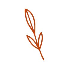 Leaf Sprig Outline