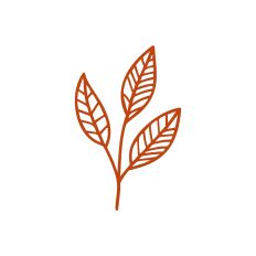 Leaf Stem Outline
