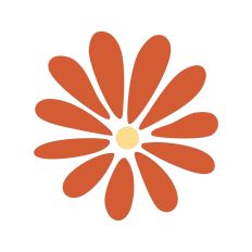 Daisy Flower