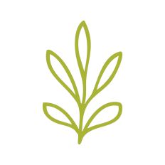 Leaf Stem Outline