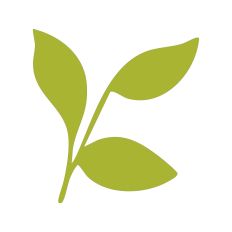Leaf Sprig Silhouette