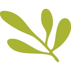Leaf Stem Silhouette