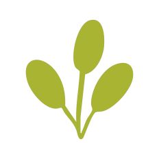 Leaf Sprig Silhouette