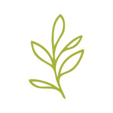 Leaf Stem Outline