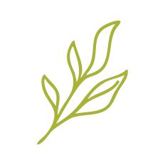 Leaf Stem Outline