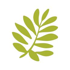 Leaf Stem Silhouette
