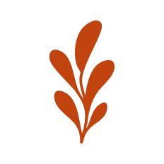Leaf Stem Silhouette