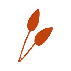 Leaf Stem Silhouette