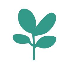 Leaf Stem Silhouette