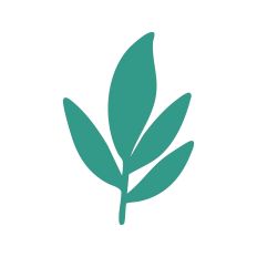 Leaf Stem Silhouette