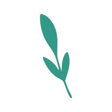 Leaf Stem Silhouette