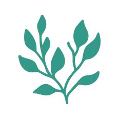 Leaf Stem Silhouette