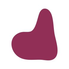 Abstract Irregular Shape