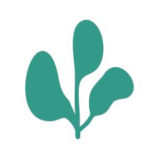 Leaf Sprig Silhouette