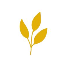 Leaf Sprig Silhouette