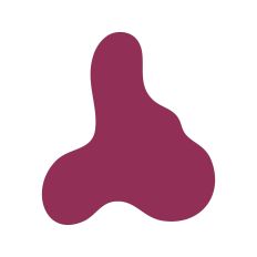 Abstract Irregular Shape