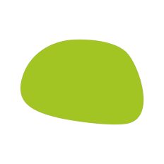 Abstract Irregular Shape