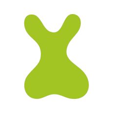 Abstract Irregular Shape
