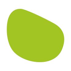 Abstract Irregular Shape