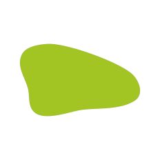 Abstract Irregular Shape