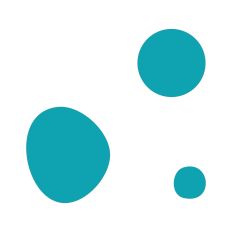 Abstract Irregular Shape