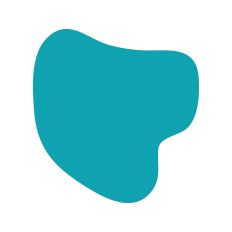 Abstract Irregular Shape