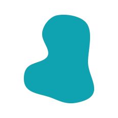 Abstract Irregular Shape