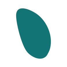 Abstract Irregular Shape