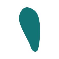 Abstract Irregular Shape