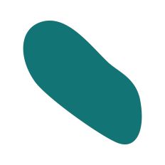 Abstract Irregular Shape