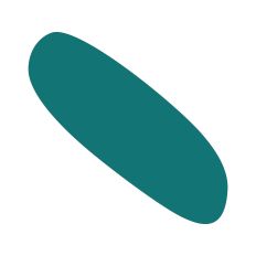 Abstract Irregular Shape