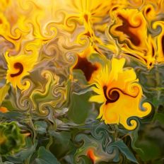 Abstract Floral Printable Pattern Background 
