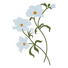 Blissful Blooms Florals