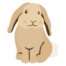 Cute Bunny – Adorable Bunny Cut File for Easter & Crafts