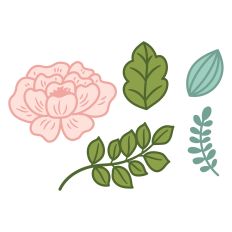 Peony Floral Set – Elegant Flowers & Leaves