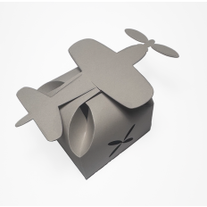 Airplane, Single Engine Petal Gift Box