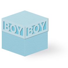  box w boy word cutout lid