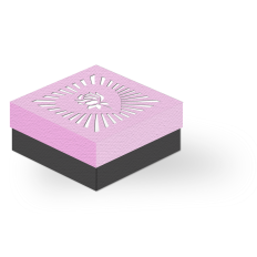 rose heart rays box