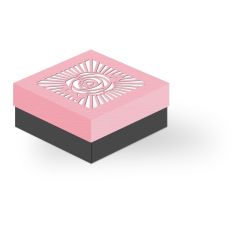 retro rose rays box