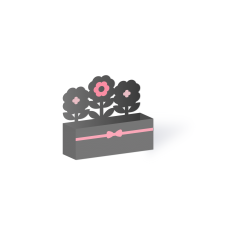 cutout blooms tray box