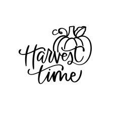 Harvest Time