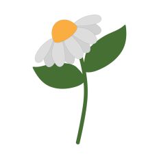 Daisy