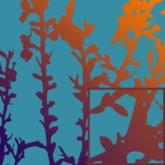 Almond Tree Branches Pattern Abstract