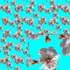 Almond Blossom Pattern